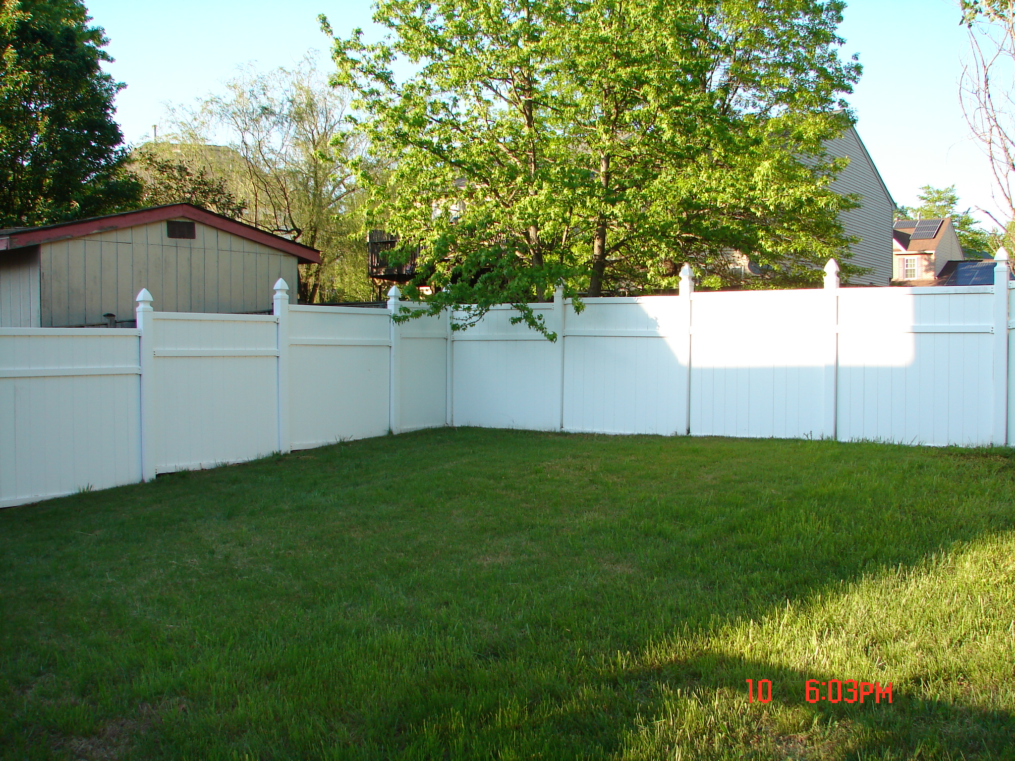 Fenced outdoor space with grass and trees