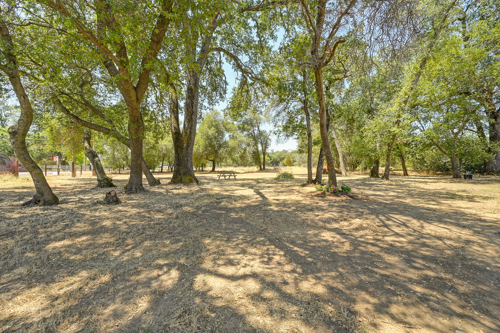 Shaded outdoor space with trees and sunlight