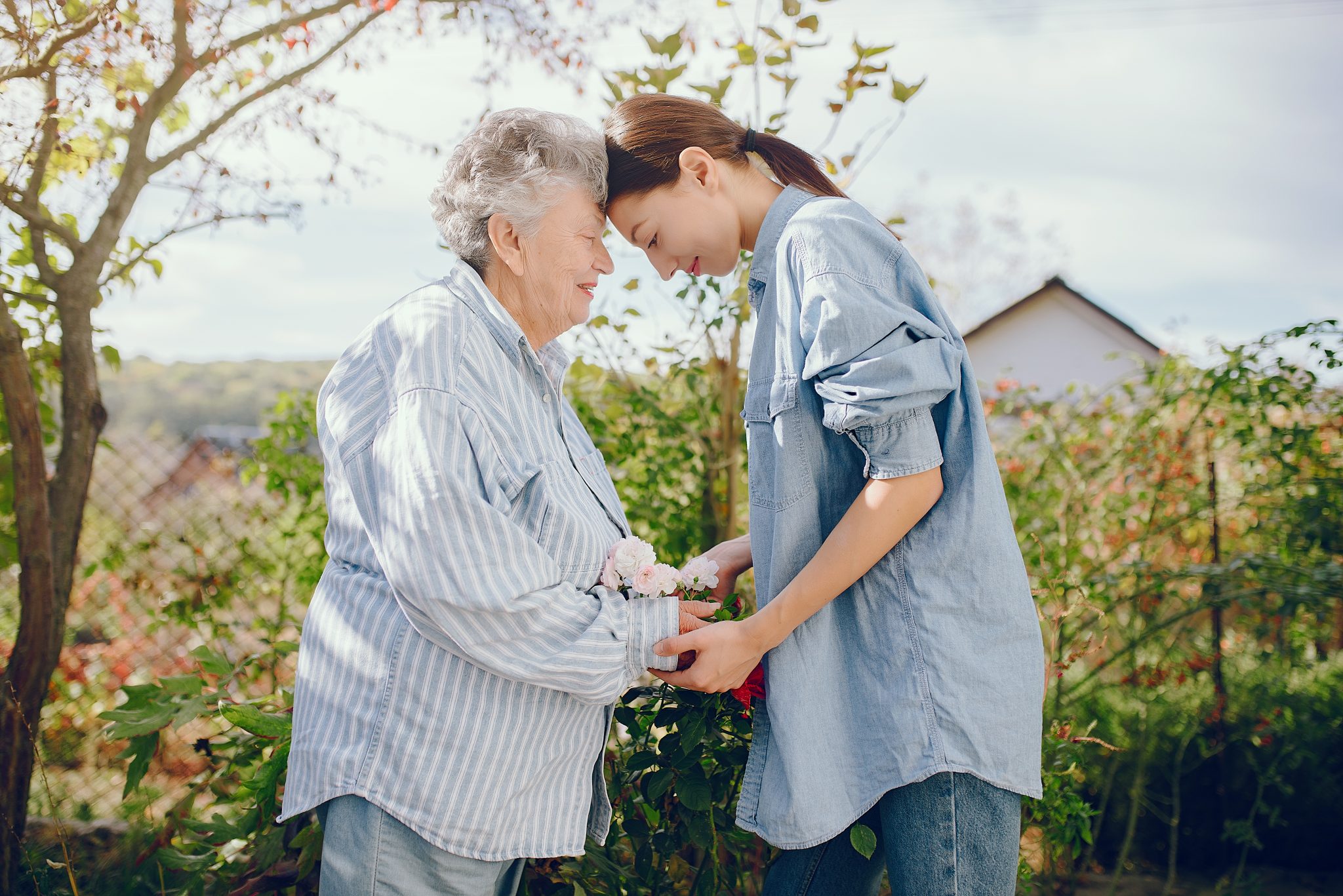 Sycamore Care Homes